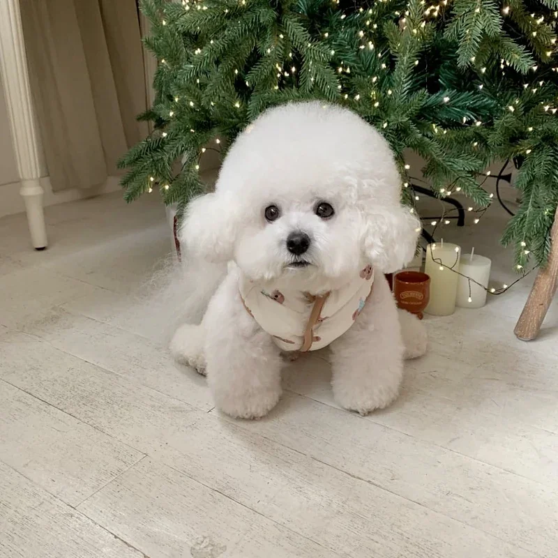 Pet Jacket Cute Dog Print Pet Down Coat Winter Warm Puppy Cotton Coat Leashable Bichon Jacket Schnauzer Cartoon Two Legs Clothes Jackets