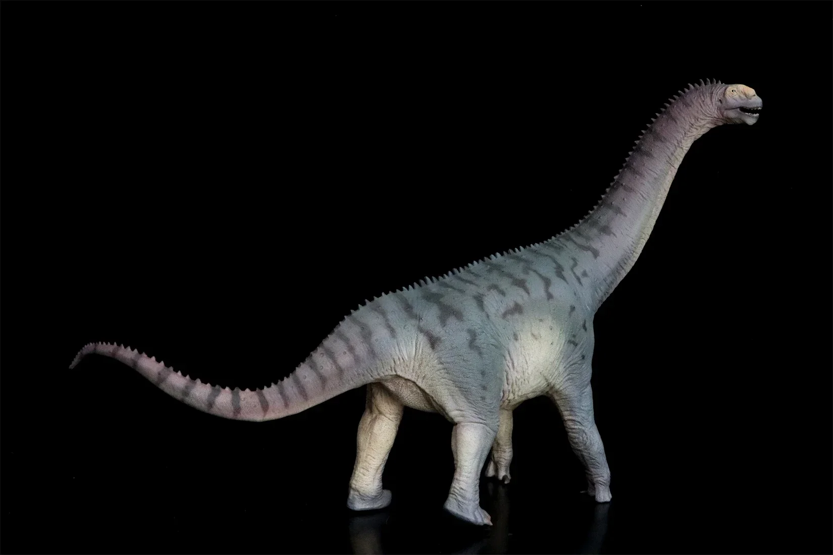 Pnso 85-カマラサウルスと恐竜モデル,先史時代の恐竜,動物コレクション