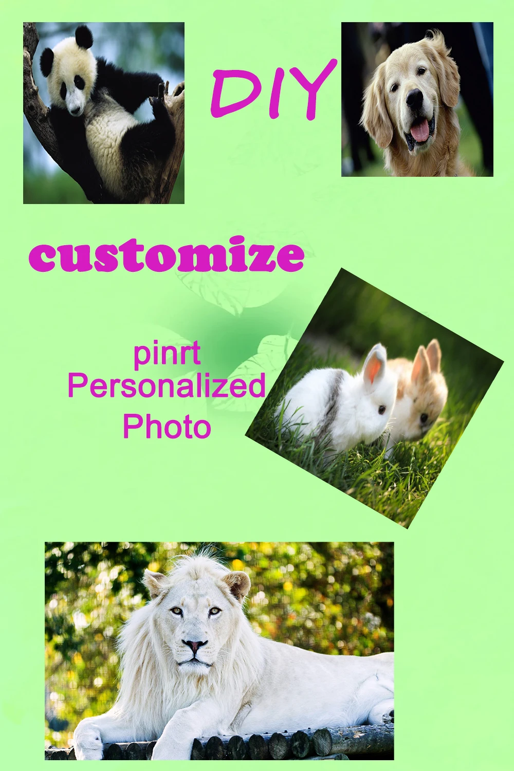 ������ �ö��� ������ ���, ������ ���� ���� ���� ��� ���� ���� ���� �μ� 