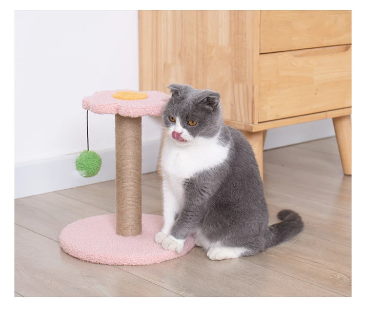 Sd8a526258ae6422bac4c9417f1e72fa89