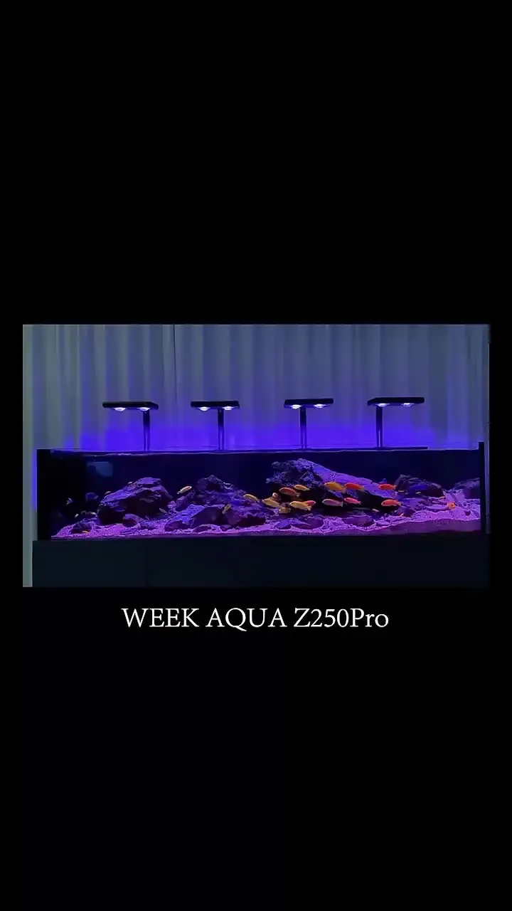 水槽 psychedelic aqua Week Aqua Z250 Sea Z400 Sea Bluetooth 3.0 Aquarium Marine Light