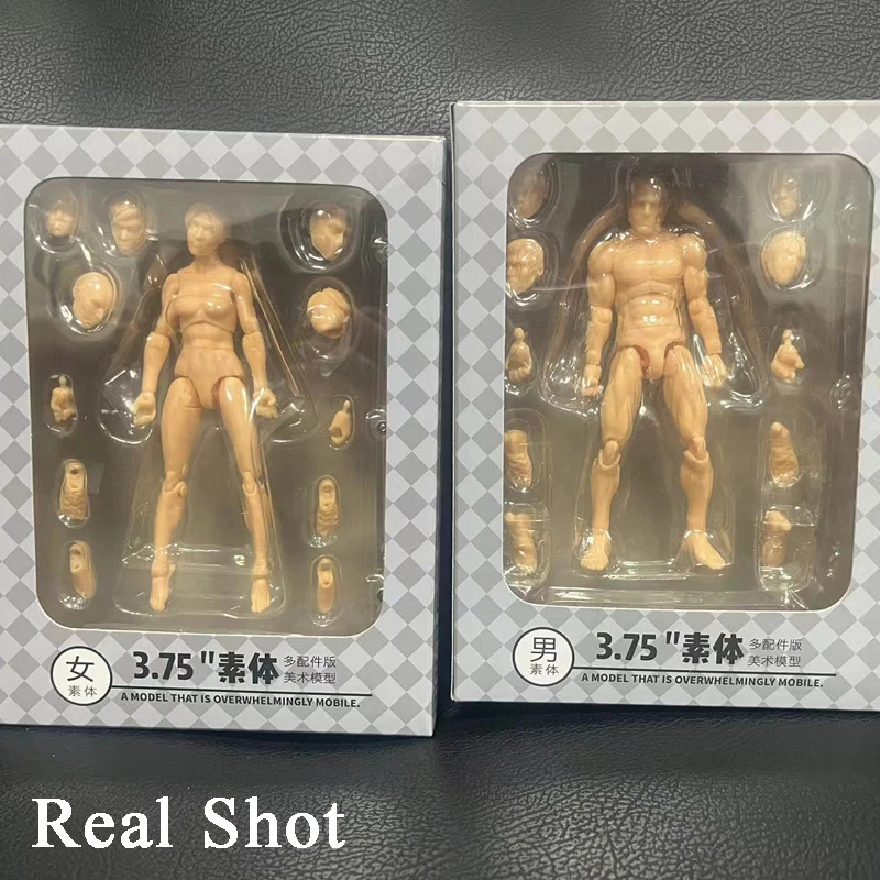 figma人体模型 Sef9317b90dba4d1eaeeb737745399