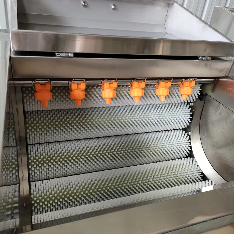 Potato peeler Commercial stainless steel 220V automatic Potato peeling machine Cleaning machine Potato cleaner 1500w 5