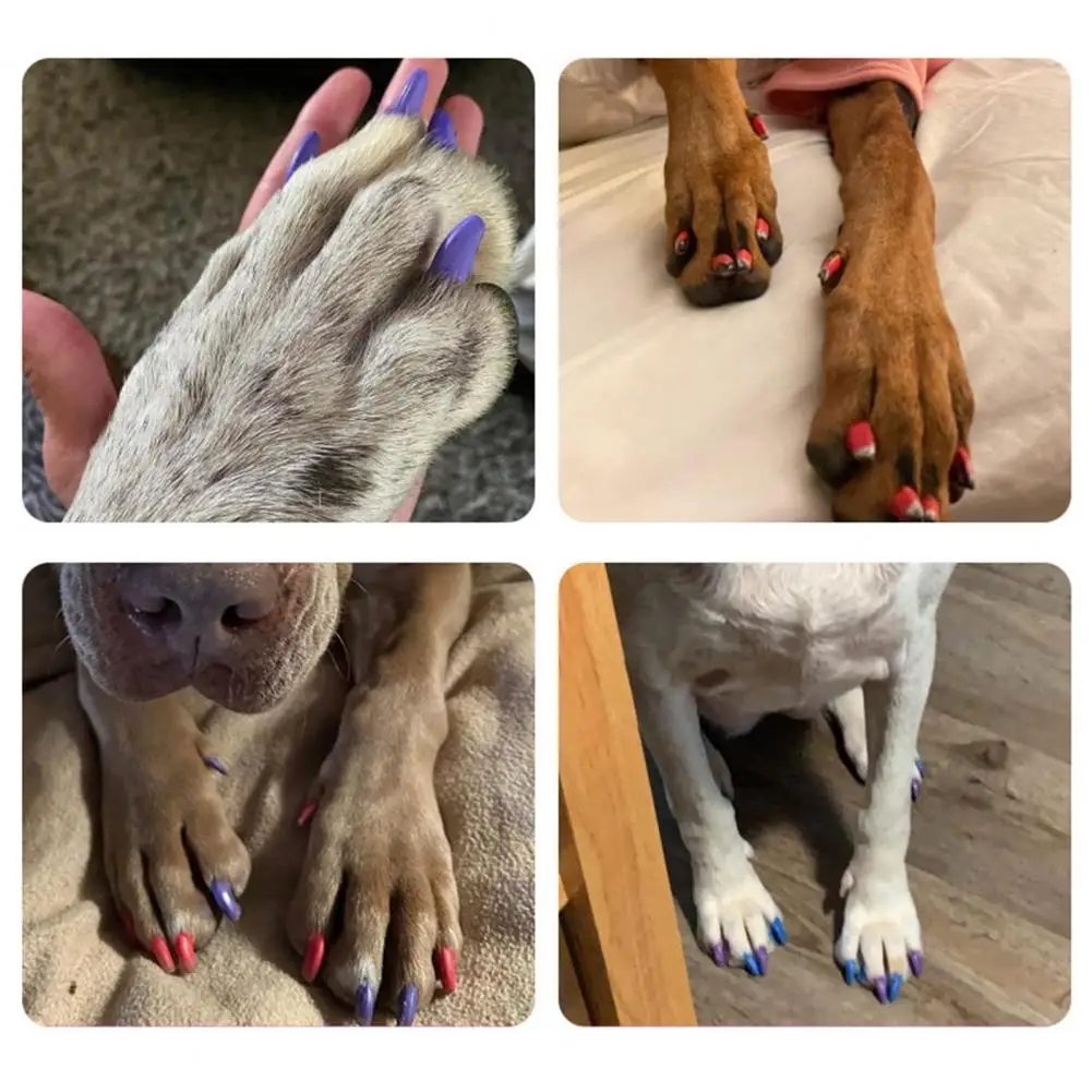 12 Bright Colors Pet Nail Art Pen 12-color Pet Nail Art Pen Set for Grooming Quick Dry Dog Polish Pens for Puppy Small