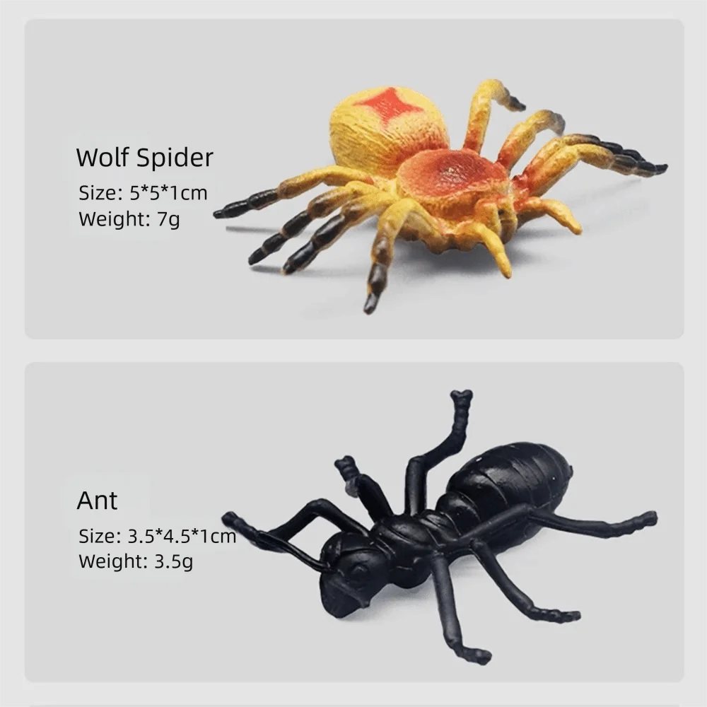 12PCS Mini Simulation Animal Figurines​ Farm Animal Insect Pet Cat Mini Dinosaur Action Figure Preschool Educational PVC