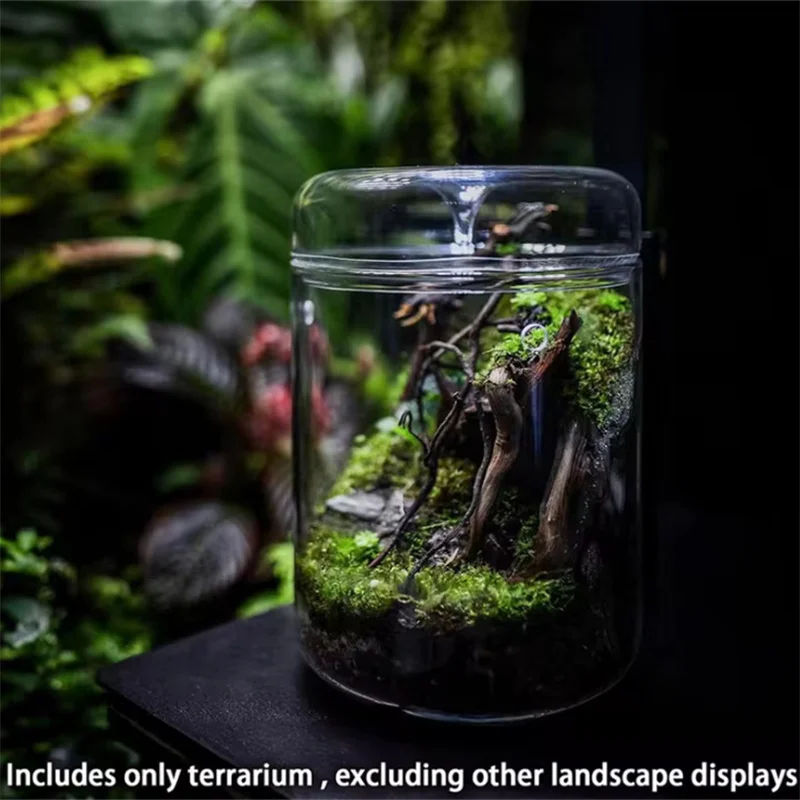 Glass Bottles Creativity Dew Collection Glass Vase Micro Landscape Succulent Moss Landscape Glass Terrarium Home Decor 4