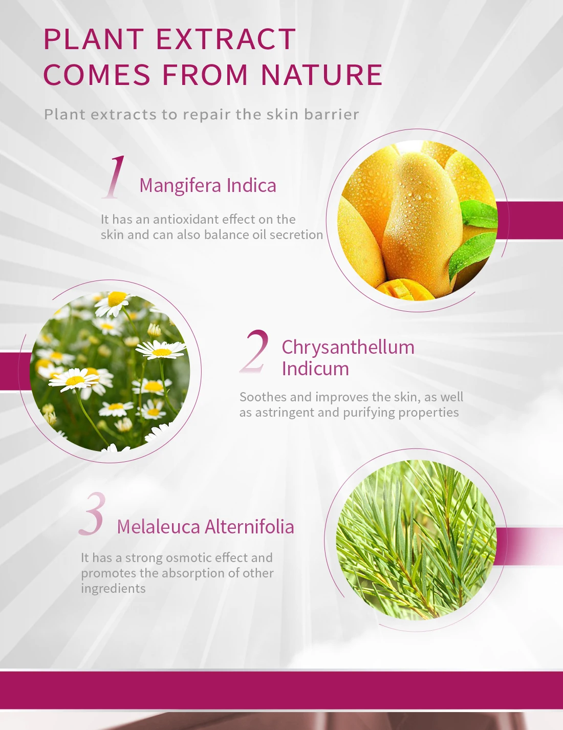 Description Picture 5 of itemRemoves Blackheads Deep Cleans Pores Softens Cuticles Absorbs Excess Oil and Dirt Mango Extract Safe and Natural  Shrink Pores