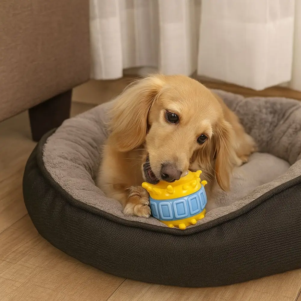 4 Pcs/set Pet Supplies Bite Resistant Interactive Dog Wear Resistant TPR Teeth Cleaning Colorful Pet Leakage Ball Solo Play