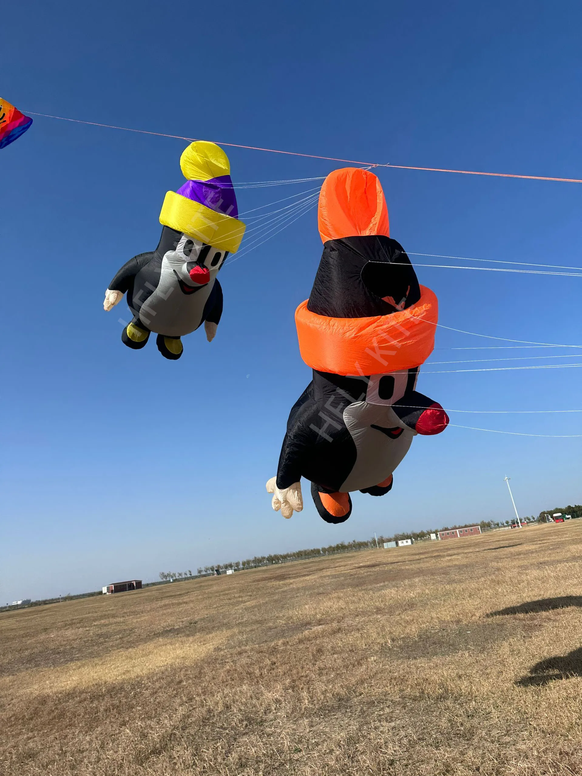 3.5M Mole Line Laundry Soft Inflatable Kite Delta Kite