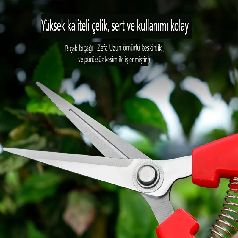 Modern Ambidextrous Stainless Steel Pruning Shears 6