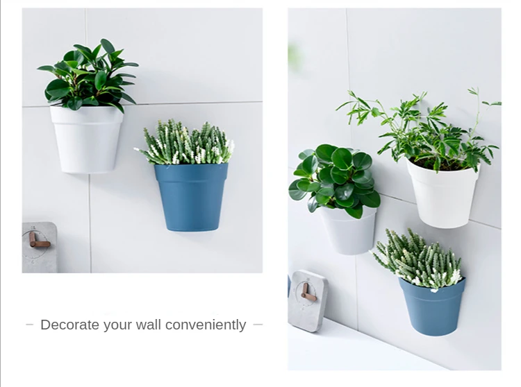 Hydroponic Flower Pot Display