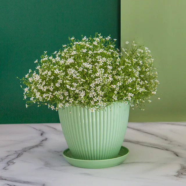 Flower Pot Round Planters Succulents Plant Pot with Tray Office Desktop Balcony Home Garden Decoration Outdoor Potted 5 Sizes 4