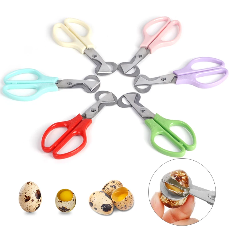 5/10Pcs Stainless Steel Bird Quail Egg Shell Scissors Durable Multifunction Kitchen Tools  Cigar Cutters Rust Resistant 5