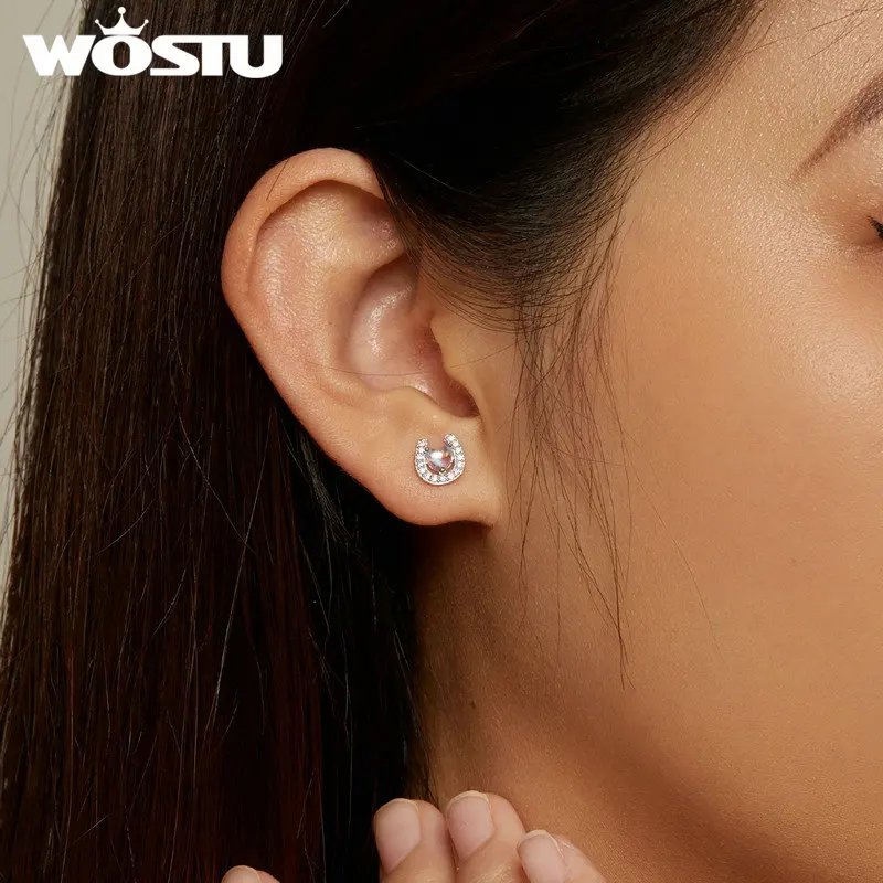 WOSTU  럭키 말굽 스터드 귀걸이 여성을위한 레인보우 월장석 지르콘 귀 클립 Pendient 소녀 생일 선물