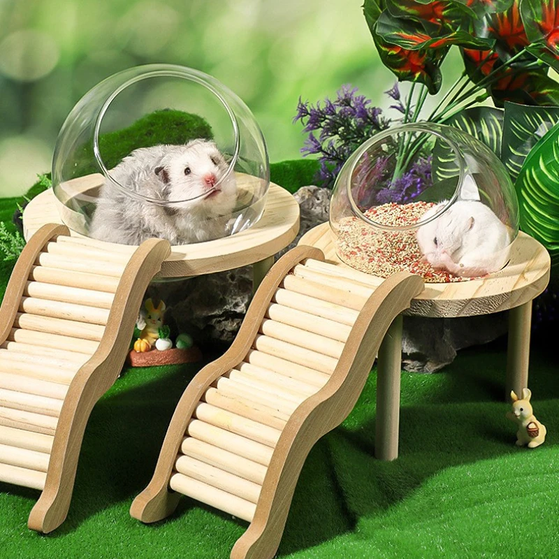 Hamster Bath House with Wooden Ladder Bridge Easy to Clean Climbing Toy Hamster Bathroom Glass Shower Container for Safe Bathing 1