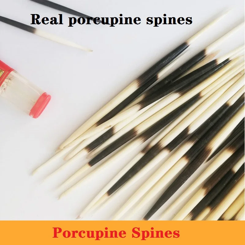 

Fish floating standard natural toothpick porcupine bristle pen holder DIY material hairpin desk decor
