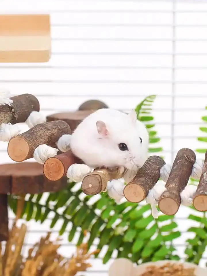 Pethee 12PCS Hamster Chew Toys Set,Small Animal Molar Wooden Toys