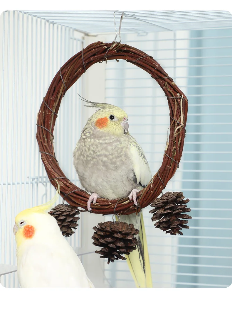 Parrot Twig Preparation Ring for Hanging Play Pet Play Accessory for Budgies Cockatiels Parakeets Canaries Finches