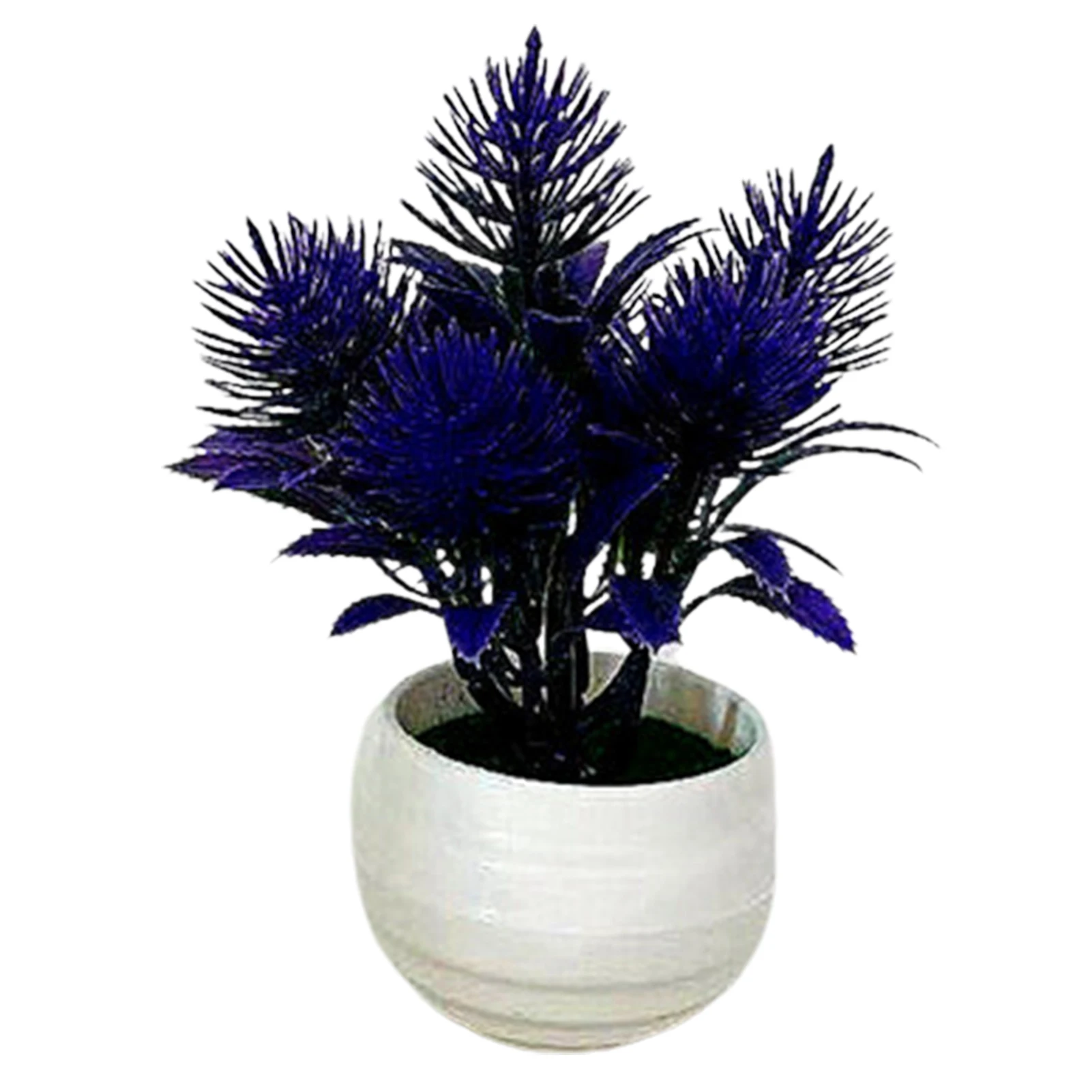 Purple Orchid 3