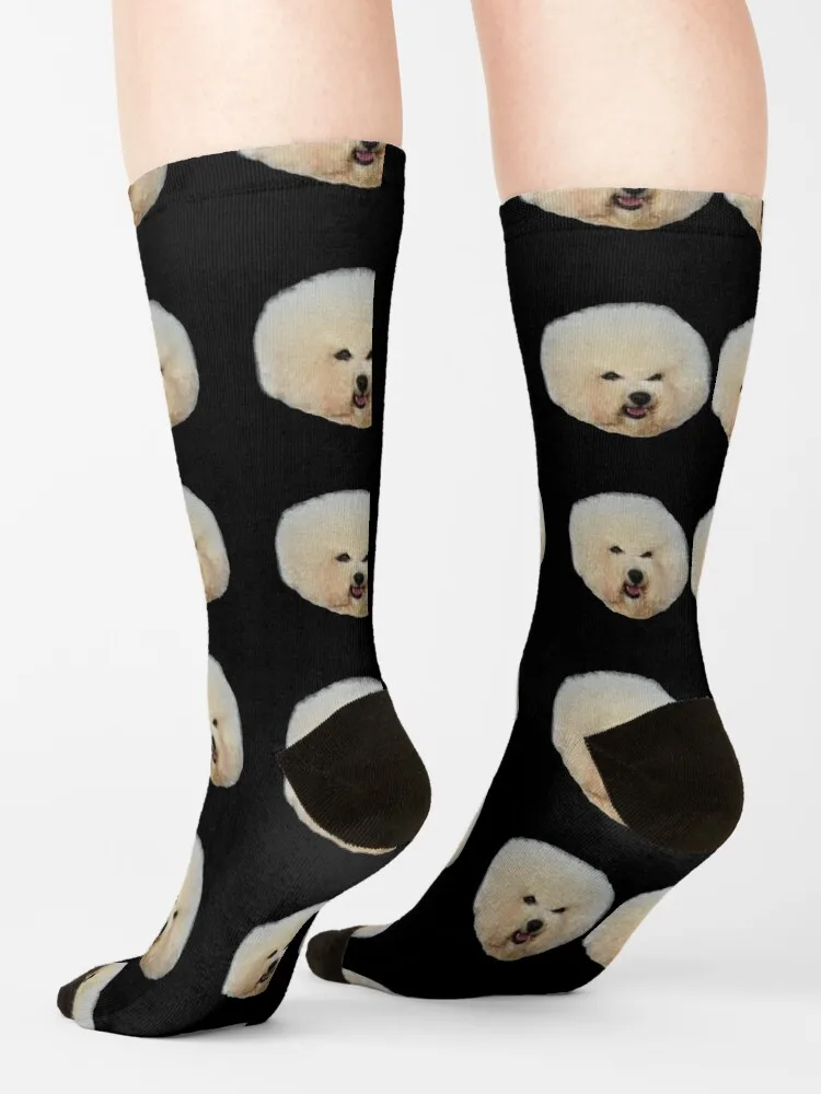 A Very Beautiful Bichon Frise Dog Socks cartoon socks summer valentines day gift for boyfriend