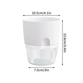 White  10cm