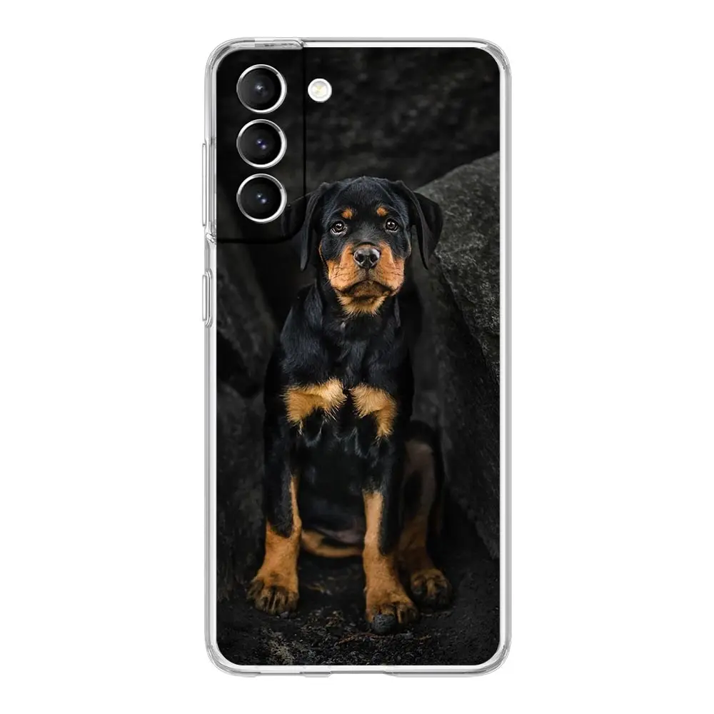 Rottweiler Dog Clear Silicone Phone Case - Soft and Durable Back Cover