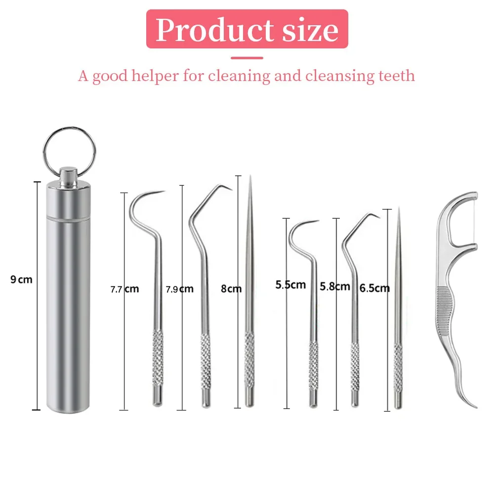 Stainless Steel Toothpick Set Reusable Toothpicks Tooth Flossing Tartar Removal Tool Portable Teeth Cleaner for Tooth Oral Clean