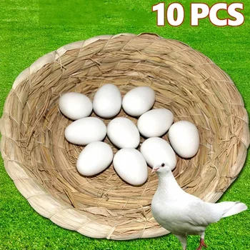 10PCS Imitation Fake Pigeon Eggs Plastic Solid White Pigeon Eggs Bird Training Supplies Children Toys Breeding Supplies