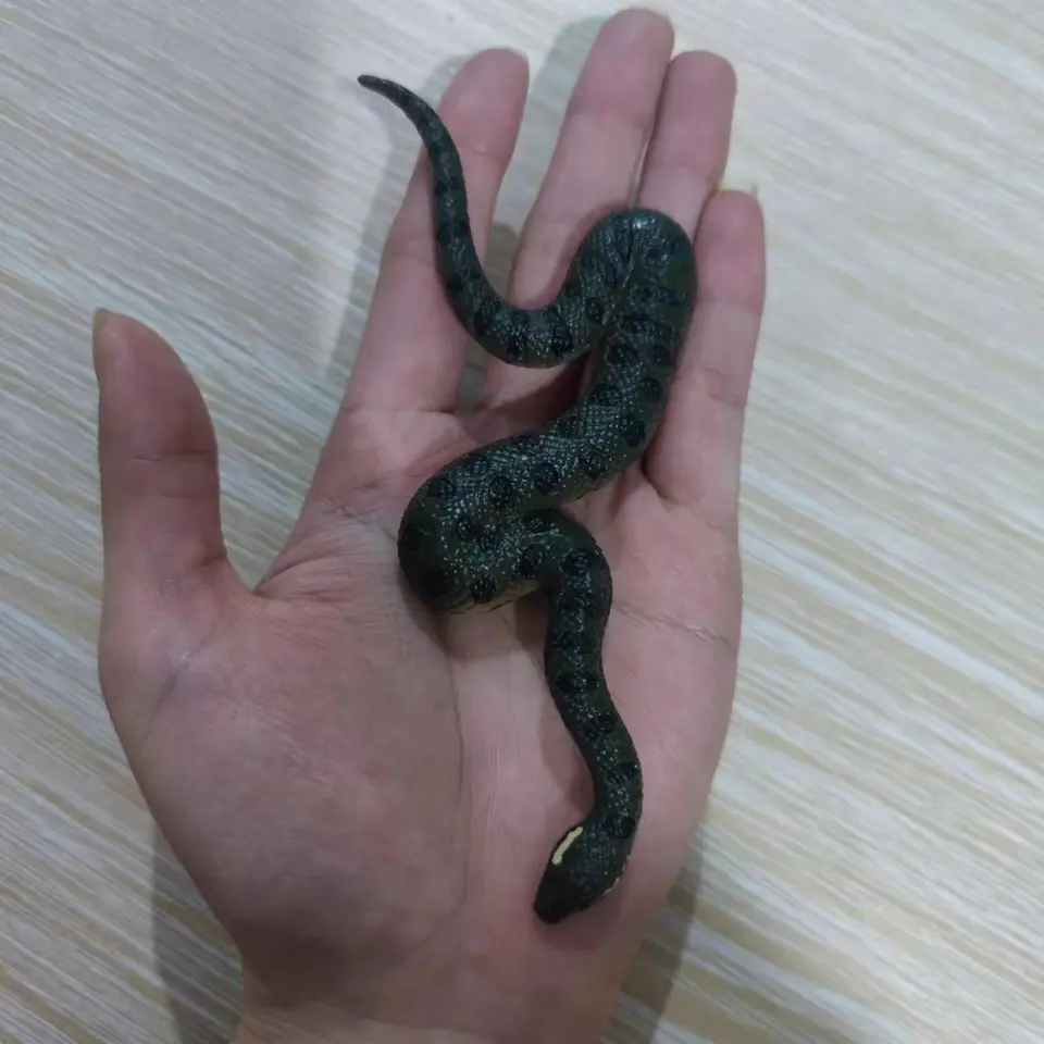 NIEUW nep realistisch rubberen speelgoedslang Noord-Amerikaanse groene  Anaconda enge Halloween rekwisieten cadeauspeelgoed - AliExpress, image size:960x960