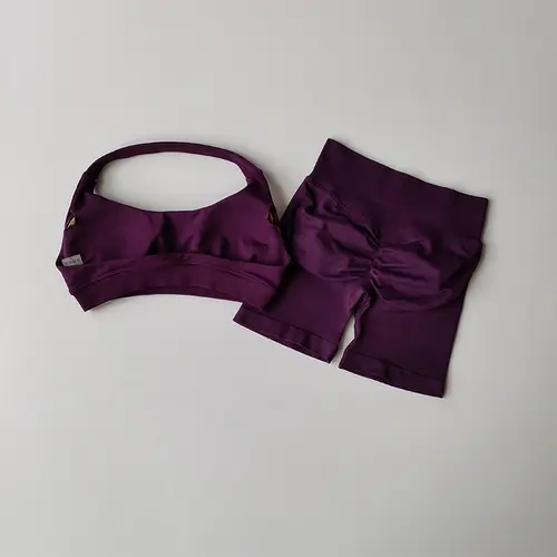 Sexy Halter Neck Beautiful Back High Waist Peach Sports Bras Shorts Suit Pilates Gathering Yoga Vest Training Fitness Bra Sets - Image 3