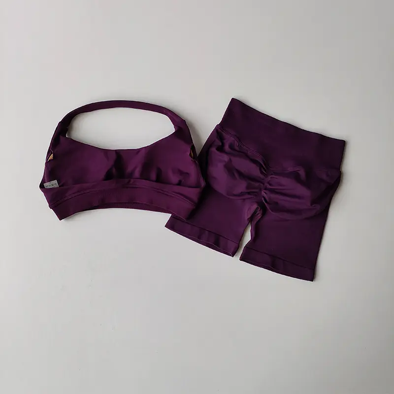 Sexy Halter Neck Beautiful Back High Waist Peach Sports Bras Shorts Suit Pilates Gathering Yoga Vest Training Fitness Bra Sets - Image 3
