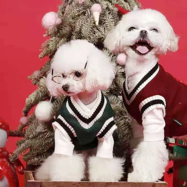 For Small Dogs Puppy Vest Clothes Kitty Jacket Outfits Winter Warm Pet Dog Sweater College Style V-neck Puppy Knitwear 3