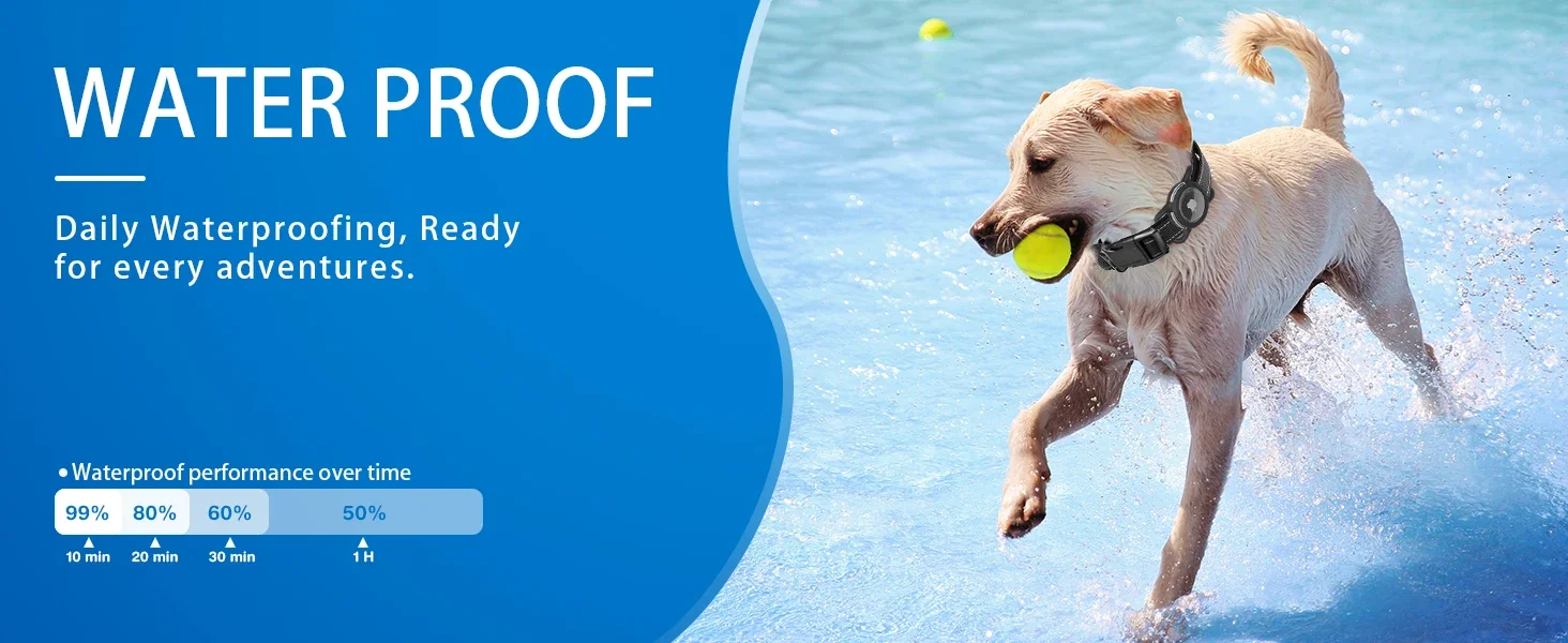 Wasserdichtes Hundehalsband mit reflektierenden und gepolsterten Elementen.