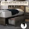 King Size Bed Frame Wooden Platform Bed with 51.2" Storage LED Bookcase Headboard, 4 Storage Drawers & Charging Station 6