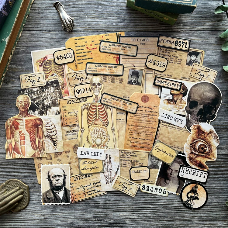 43Pcs/Pack Vintage Photo Human Anatomy Room Sticker DIY Craft Scrapbooking Album Junk Journal Decorative Stickers 1pack wool knitting sticker diy craft scrapbooking album junk journal decorative stickers