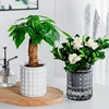 Mini Self Watering Flower Pot Fish Tank Transparent Plastic Plant Pots Self Watering Planter Pot Vase For Home Decoration 3