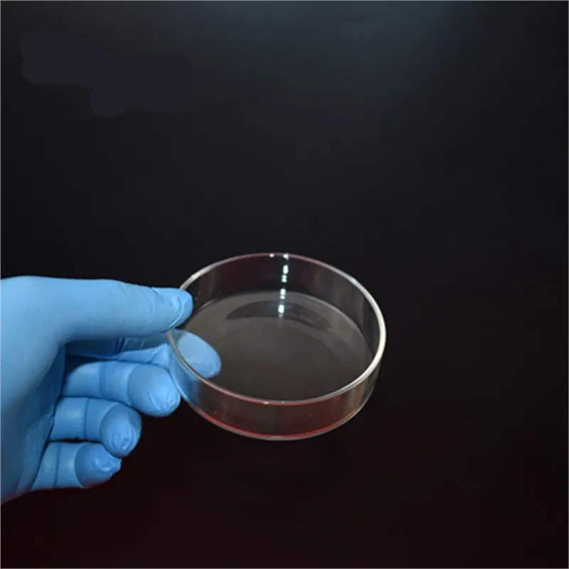 5pcs /lot 100mm High Quality Glass Petri Dish For Lab Plate Bacterial