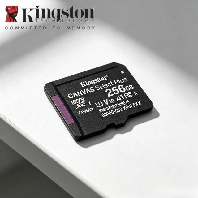 Kingston MicroSD TF Card 256GB 512GB 64GB 128GB Flash Memory Card A1 V10 Original Storage Micro SD Cards for Phone/Tablet/Switch 1