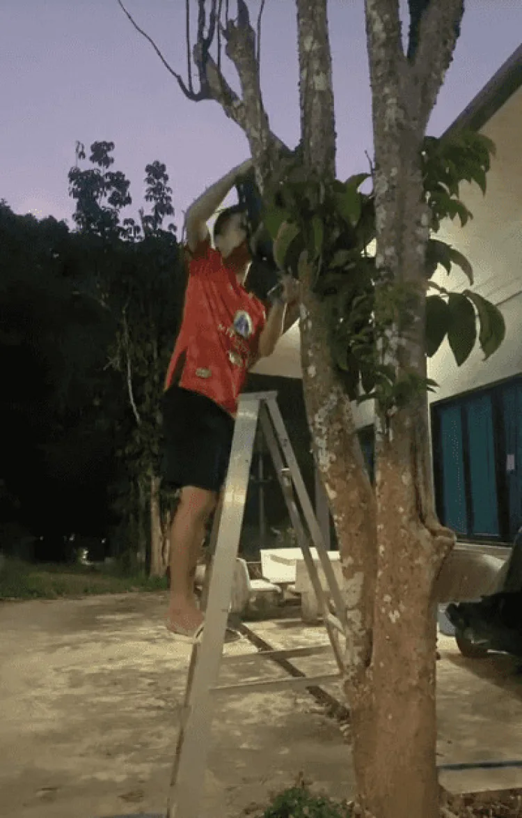 Description Picture 5 of itemSensor Outdoor Searchlight Garden Lights Solar Garden Lights Floodlight Body Lighting Searchlight