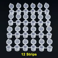 Silicone World Transparent Acrylic Paint Storage Box with 12 Compartments (3ML Each) (12 Strips)