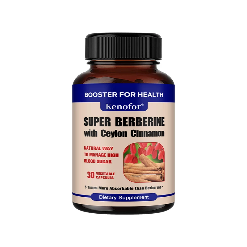 실론 계피 추출물, 항산화제, 혈액 순환 개선, 심혈관 건강 지원, 혈당 균형 유지