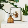 1pc Glass Watering Spray Bottle, Vintage Bronze Plastic Top Pump Watering Can Glass Spary Bottle Plant Mister, For House Plants, 4