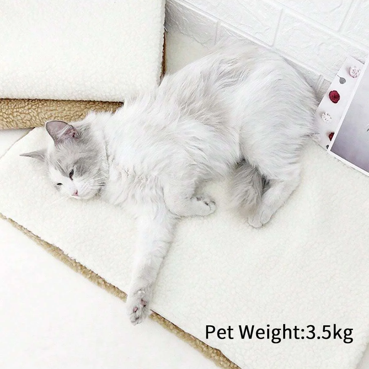 1pc-Self-heating Blanket Mat For Cats And Dogs Lamb Wool Warm Mattress-random color