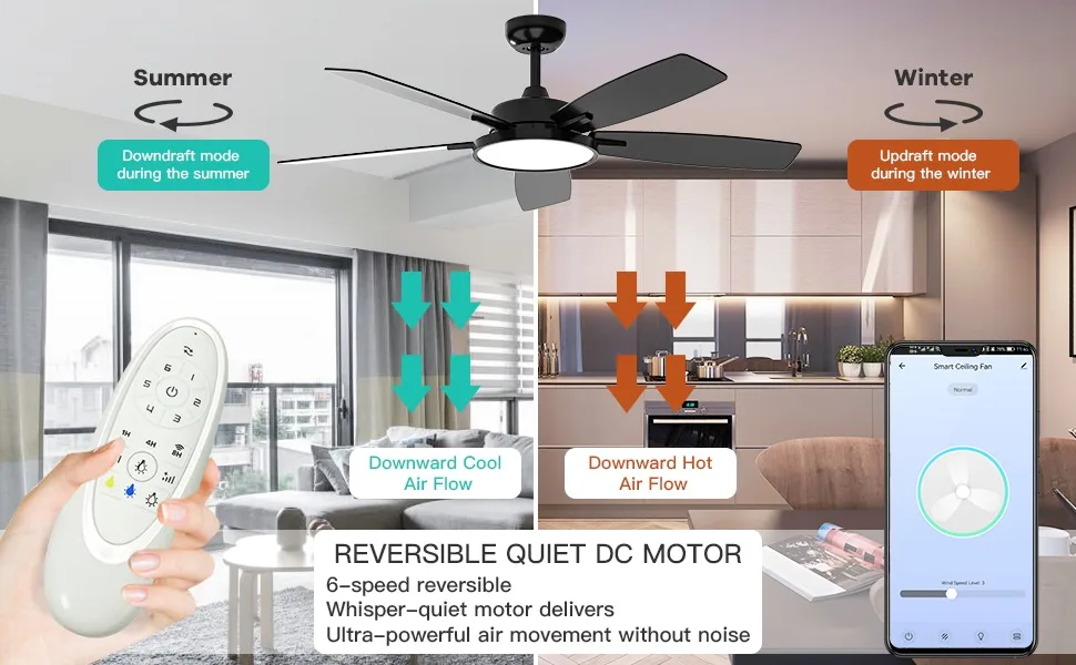 ceiling fan with light and remote