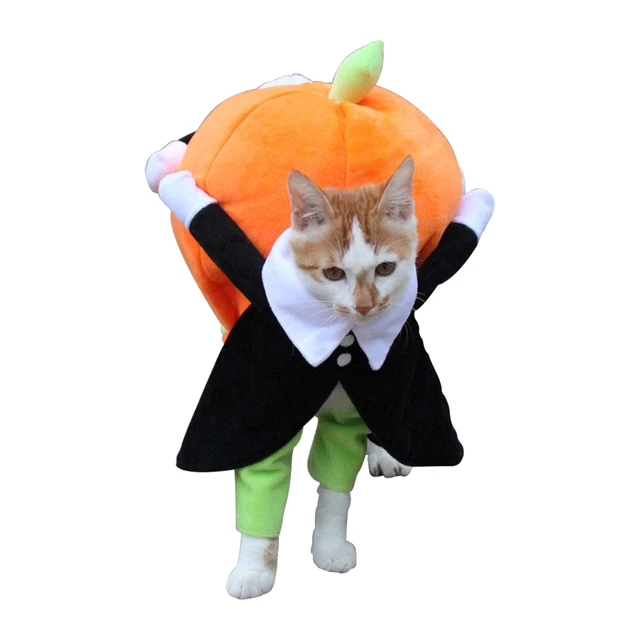 Halloween Pet Costume Funny Pumpkin Dog Cosplay Clothes Autumn Winter Pet  Clothes For Dogs And Cats Festival Party Dress Up Apparel - Temu