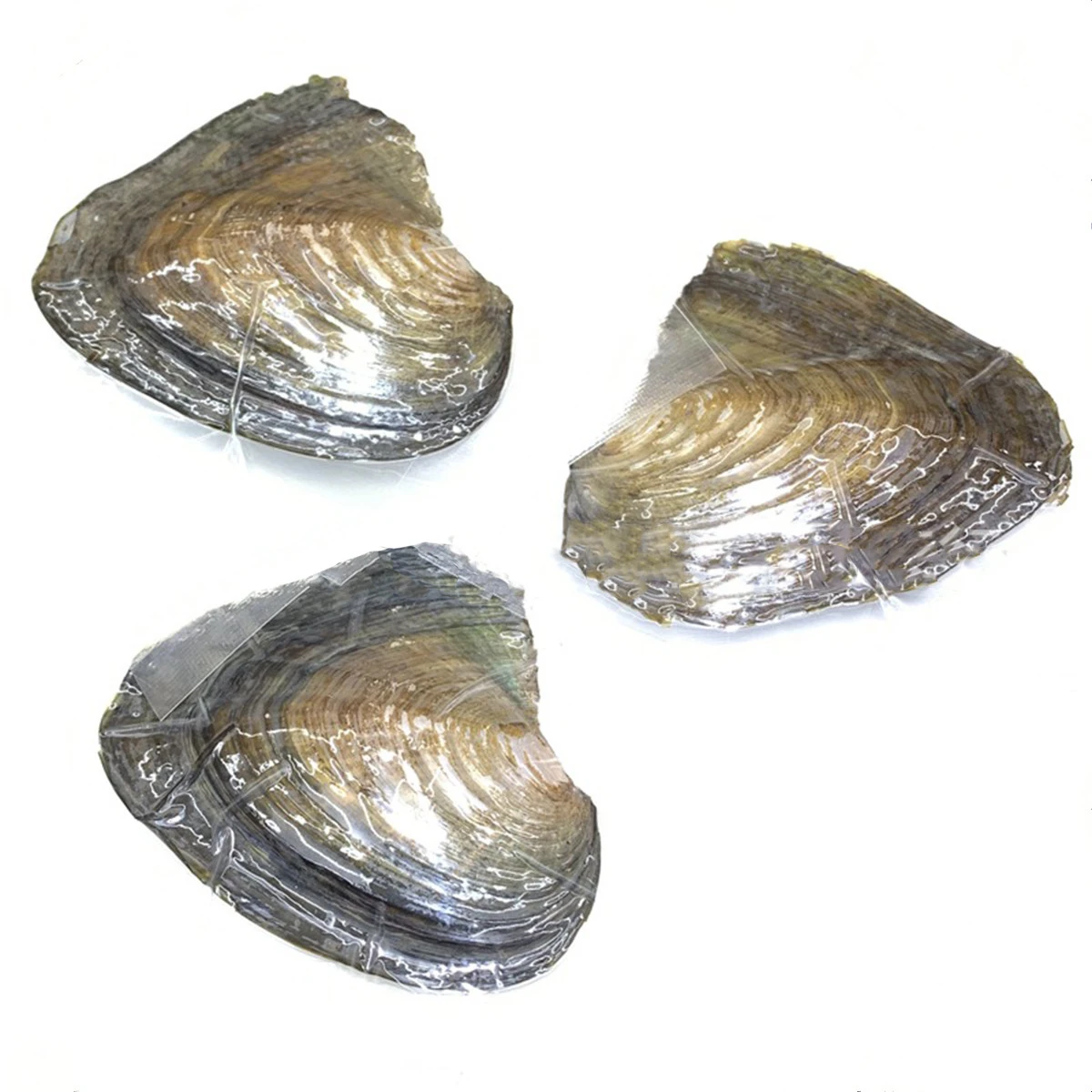 õ ھ  , õ  ,  , 2 