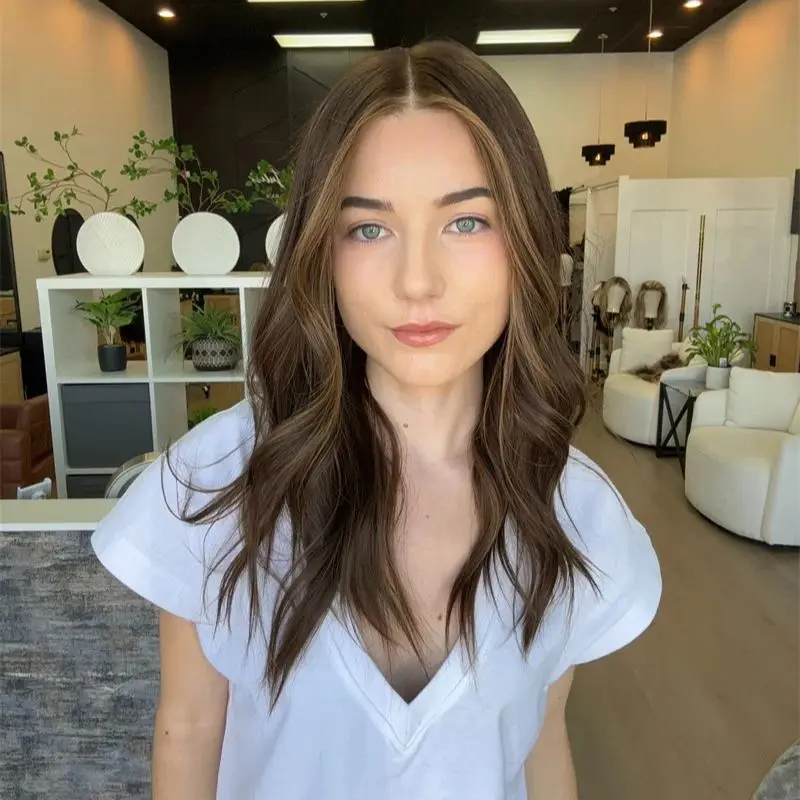 Glueless Lace Wigs Synthetic Lace Front Wigs Ombre Blonde Brown Colored Highlights HD Transparent Front Women's Wig