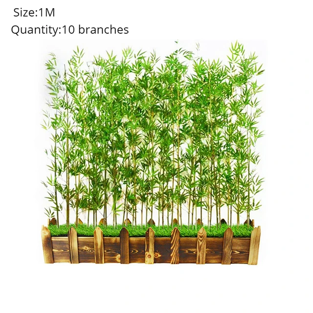 1M 10 branches