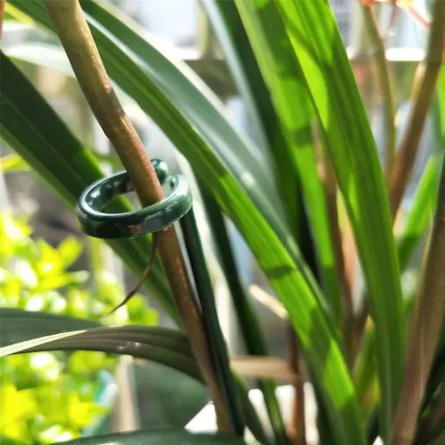 5 Pcs Kerti Növényi Állvány Tartozékok Kertészeti Szerszámok És Felszerelés Kert Heveder Virágcserepek Mászóállvány Virághoz - Image 5