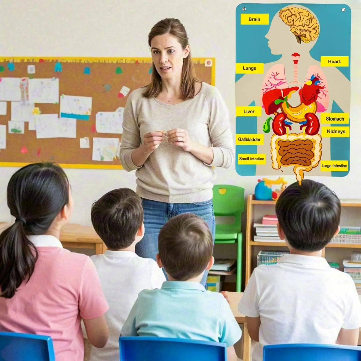 Human Body Felt Board 3